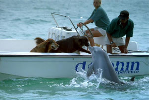 rien a dire..................!!!!!